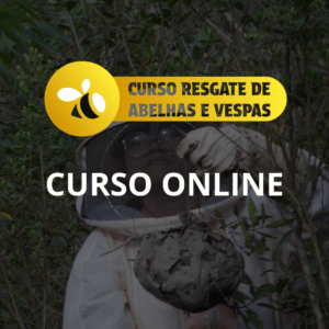 Curso online